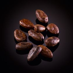 Roasted cocoa beans