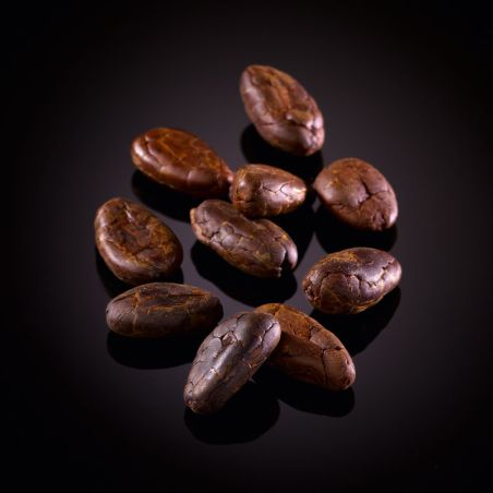 Roasted cocoa beans