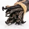 Vanille noire Gourmet non fendue Tahitensis Vanille