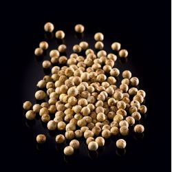 Poivre blanc entier de Madagascar Poivre blanc